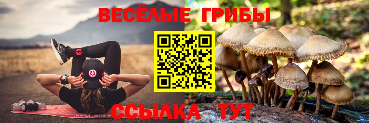 Псилоцибиновые грибы ЛСД  Вход с VPN  Верхняя Пышма 